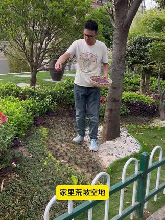 野花组合种子 养花人不做选择,买一包这个野花组合,几十个品种一起开花院子变花海!#野花组合