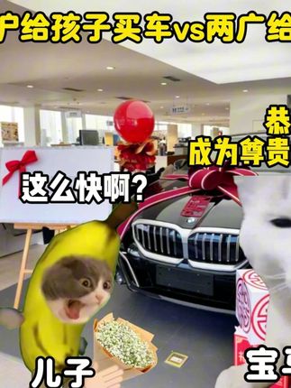 江浙沪给孩子买车VS两广人给孩子买车 #猫meme #丰田皇冠 #江浙沪成人礼 #两广
