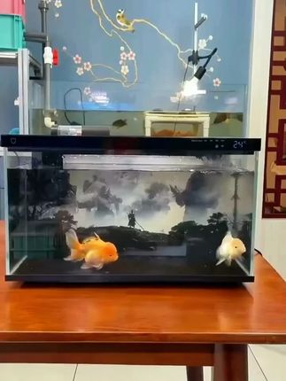 智能鱼缸升级款加热仓模块可拆设计滤芯滤材组合搭配过滤改造配件#智能鱼缸 #升级配件 #加热仓 #过滤改造 #滤芯滤材