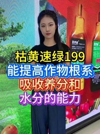 枯黄速绿199能提高作物根系吸收养分和水分的能力 #农业种植 #种植技术 #三农 #三农种植