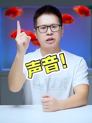 创宁鱼缸氧气泵超静音小型家用增氧泵养鱼打氧增氧机卖鱼用充氧泵创宁鱼缸氧气泵超静音小型家用增氧泵养鱼打氧增氧机卖鱼用充氧泵