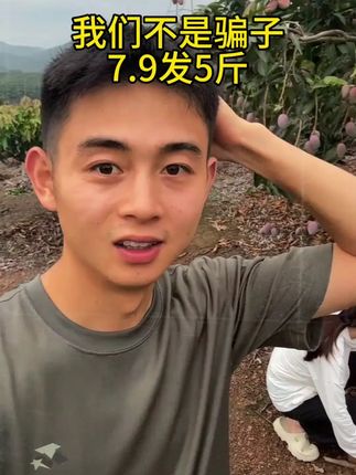 【放软吃】新鲜现摘贵妃芒果 新鲜水果皮薄爆汁