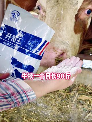 #养牛 #养牛人 #养殖 #三农 #牧饲康开胃王