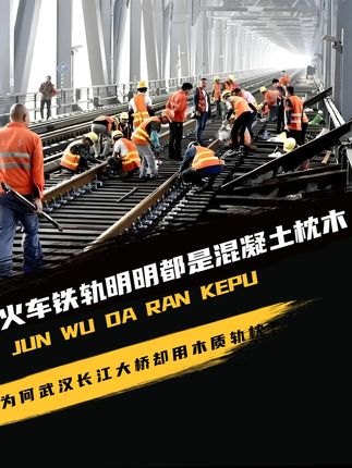火车铁轨明明都是混凝土枕木,为何武汉长江大桥却用木质轨枕?#大国科技 #大国崛起 #大国重器 #近代史
