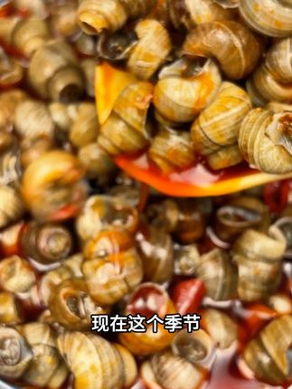 现在这个季节就是螺肉最肥美的时候,光闻到味我就流口水了-zyf#香辣嗦螺 #下酒菜 推荐推荐,下酒追剧来几包非常合适