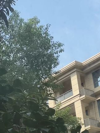 #小区随拍 骨肉主食冻干