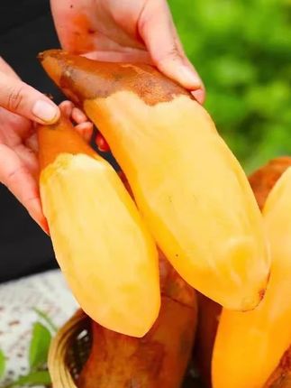 b #不锈钢油壶#倒油不挂油的油壶#带滤网油壶#超便宜超划算
