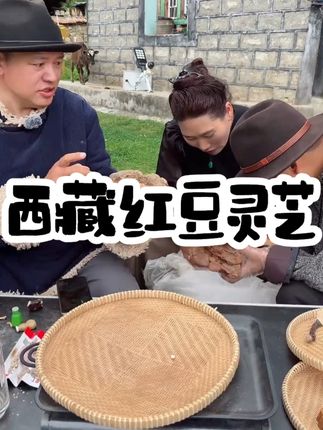 西藏红豆青冈灵芝250g #好物分享 #三伏天养生指南 #西藏红豆青冈灵芝 #热点宝