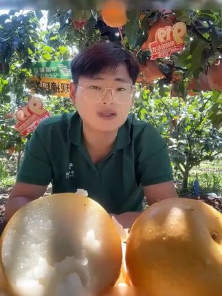 【邮政助农】正宗烟台莱阳秋月梨新鲜冰糖梨当季水果秋月梨现摘皮薄 #秋月 #助农 #当季 #梨现