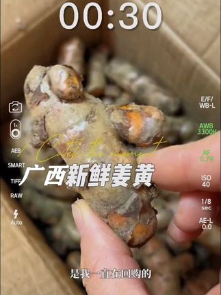 广西新鲜姜黄 #快来一起尝个鲜 #姜黄 广西现挖现发新鲜姜黄,每年三四月份可以种植,香味浓郁,煮鸡汤很不错#广西姜黄 #姜黄煮鸡 #新鲜姜黄