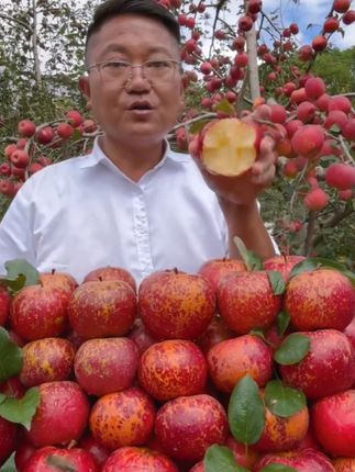 #现摘现发 #优质农产品 #优质水果 #新鲜采摘 #源头好货