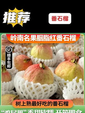 正宗增城树上熟胭脂红番石榴香甜鸡屎果软糯低糖现摘水果顺丰包邮#番石榴 #好吃不贵经济实惠 #新鲜应季水果 #抖音助农 #超好吃 @DOU+好生意 @DOU+上热门 @DOU+小助手