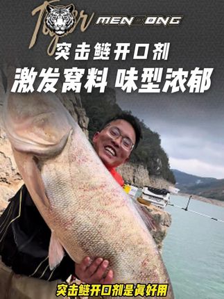 突击鲢开口剂激发窝料味型浓郁!! #钓鱼 #突击鲢开口剂