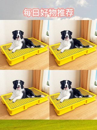 狗狗厕所狗尿盆中型大型犬排便大小便尿垫防踩网格可拆洗方便诱导 #宠物厕所 #狗狗尿盆 #养狗必备 #爆款热卖中 #厂家直发