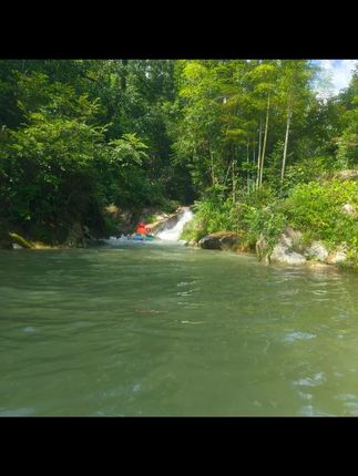 Potato/小土豆PPSU鸭嘴吸嘴学饮杯防漏防呛婴幼儿喝水杯奶瓶