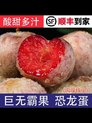 【顺丰现货】新疆恐龙蛋当季新鲜水果杏李子酸甜多汁礼盒装 TH #新疆恐龙蛋水果 #杏李子 #顺丰现货水果 #酸甜多汁水果 #礼盒装水果