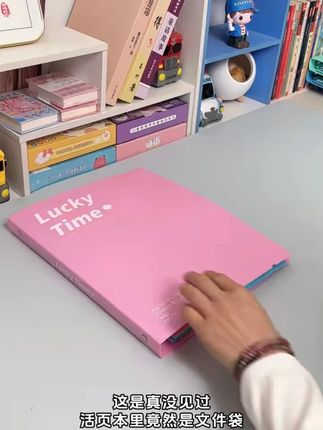 A4试卷收纳神器活页文件收纳册高颜值试卷收纳袋学生用资料册#试卷收纳册 #A4收纳 #资料册 #学生用品 #高颜值收纳