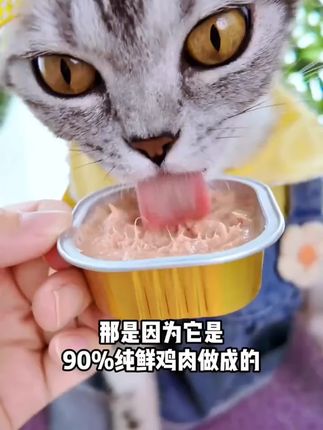 陪伴岁月多维金罐鸡胸鱼油主食罐猫罐头成猫幼猫全价猫粮主食湿粮陪伴岁月多维金罐鸡胸鱼油主食罐猫罐头成猫幼猫全价猫粮主食湿粮