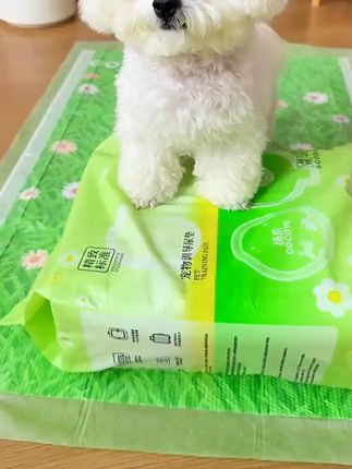 Cocoyo宠物尿垫加厚吸水除臭狗狗尿垫草地尿垫狗尿垫狗用隔 #狗狗尿垫 #狗狗尿不湿 #新手养狗