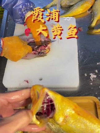 霞浦大黄鱼,人工精选,精细加工三去黄鱼,把黄鱼鲞带到餐桌上,做法简单多样,美味一触即发 #大黄鱼#霞浦黄花鱼#出海人#活鱼现杀#水产人
