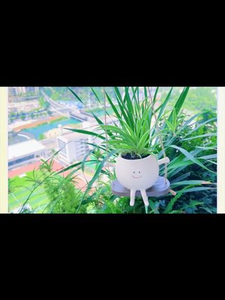 这个能荡秋千的笑脸花盆也太可爱啦~挂在阳台上好治愈啊#阳台种植 #绿植盆栽 #阳台盆栽
