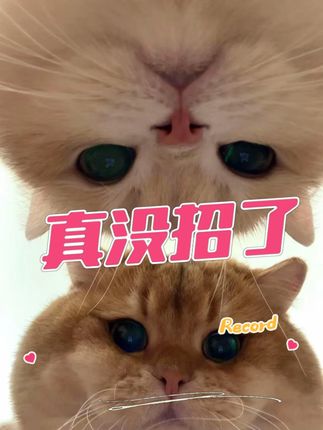 观众没惹任何人 #赴山海 #名场面