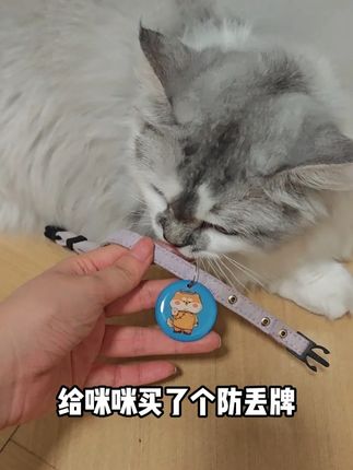 给小猫买了一个防丢牌,多一分安心! #萌宠出道计划 #记录猫咪日常 #宠物丢失 #定位 #68宠物防丢器