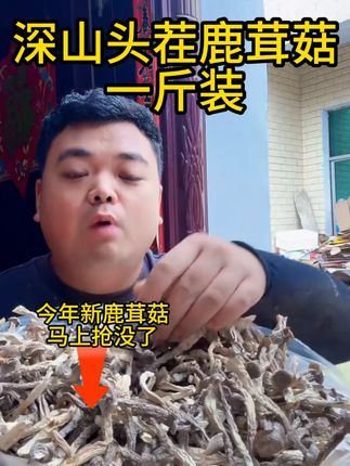 都是深山的头茬鹿茸菇,非常好吃还有营养,今天大放价一斤只要这个价,抓紧去小黄车看看#鹿茸菇#农村美食#菌菇#好物推荐🔥#美食