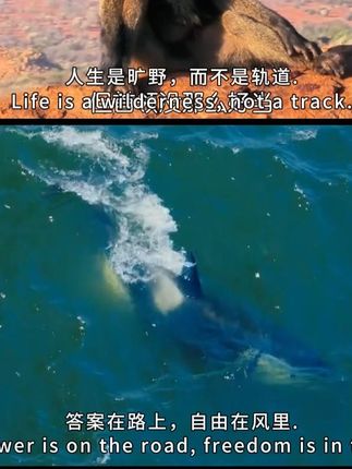 长柄刷