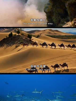 马桶垫