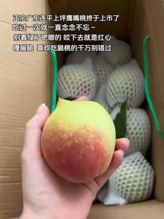 鹰嘴蜜桃马上就要上市啦,一起尽情期待吧#连平鹰嘴桃 #应季水果 #脆桃