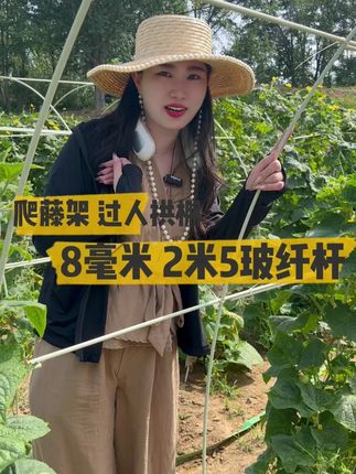 家里需要爬藤架的哥哥姐姐们赶紧进我直播间吧#玻璃纤维杆拱棚支架#蔬菜爬藤架#玻璃纤维杆拱棚支架厂家#种菜