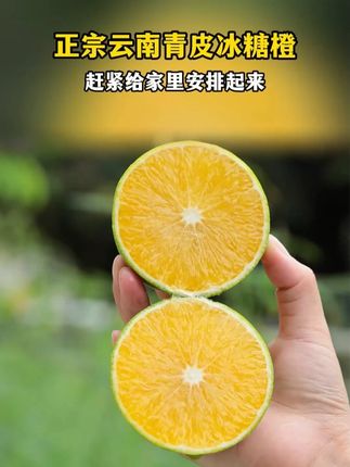 心心念念的冰糖橙来啦,别看它表皮长得绿了吧唧的,吃起来是纯甜的 皮很薄 一口爆汁#冰糖橙 #皇帝柑 #新鲜应季水果 #橙子 #立秋开吃啦