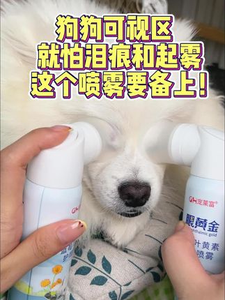 眼黄金叶黄素喷雾,还毛孩子明亮双眼 别再误以为是白某障!狗狗眼睛发白可能是干燥+氧化导致!这款喷雾含天然决明子提取物,温和滋润眼表,减少分泌物,让眼睛重现明亮#宠莱富 #眼黄金 #养宠 #养宠好物 #科学养宠