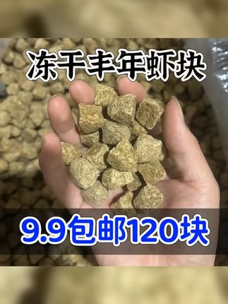 冻干丰年虾块鱼食高蛋白通用观赏鱼金鱼食斑马孔雀鱼幼鱼直接喂食 #鱼粮 #丰年虾块 #养鱼人 #观赏鱼 #喂鱼
