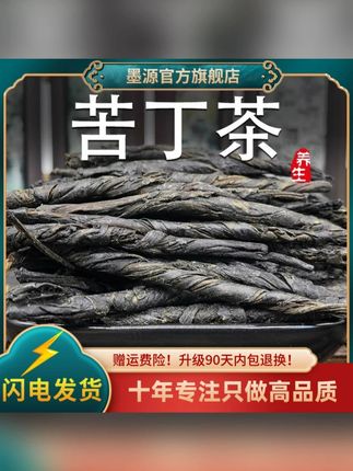 四川大叶苦丁茶新茶新鲜干非野生散装品质好物 #苦丁茶泡法 #大叶苦丁茶 #苦丁茶