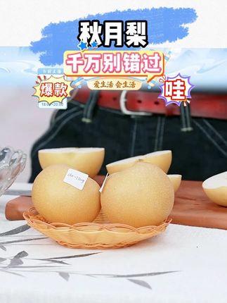 正宗山东秋月梨新鲜发货脆甜多汁应季现摘水果梨#秋月梨 #秋月梨推荐 #秋月梨熟了