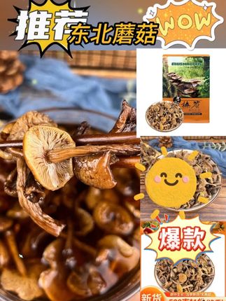 长白山榛蘑嫩芽东北榛蘑小鸡炖蘑菇手选去根干货食材小嫩芽#纯天然绿色食品 #东北蘑菇 #炖蘑菇 #榛蘑炖小鸡 @DOU+上热门 @DOU+小助手