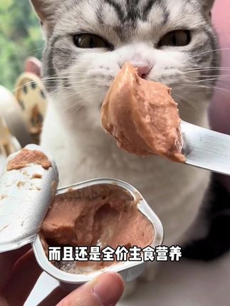 小猫吃了想不长肉都难。 它这一罐整整40克, 小鸟喂的猫咪一罐正好, 肉香味特别浓, 挑食小猫也会嘎嘎炫。 #猫罐头 #湿粮 #好物推荐 #回购率超高 #好物种草