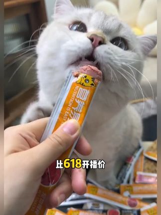 你看看这100根猫条才多少钱! 而且全是营养猫条,不怕猫咪吃太多#吃货猫 #猫条 #猫粮 6