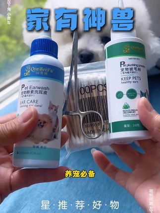 狗狗拔耳毛、洗耳朵! 泰迪、比熊、雪纳瑞…需要拔耳毛;柯基、博美、金毛…没有耳毛,直接洗耳朵!每次洗澡前进行!#狗狗耳朵清洁 #萌宠好物 #萌宠好物推荐 #宠物用品 #萌宠必备