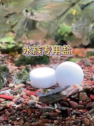 鱼缸鱼池养鱼水族观赏鱼通用快速调节渗透压矿物盐鱼缸盐盐水族盐#养鱼好物 #鱼缸矿物盐 #观赏鱼养护 #水族用品 #鱼池必备