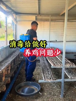 消毒给做好 养鸡问题少 #三农 #鸡鸭鹅养殖 #养鸡人 #科学养鸡 #鸡场消毒