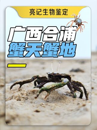 无穷小亮的科普日常