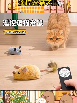 遥控老鼠电动猫玩具自嗨解闷神器猫咪消耗体力自动逗猫棒智能遥控#记录猫咪日常 #萌宠出道计划 #猫咪
