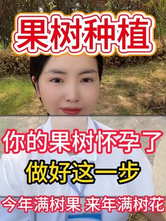 你家果树怀孕了,你知道吗 #果树种植 #果树种植技术交流 #果树花芽分化 #果树