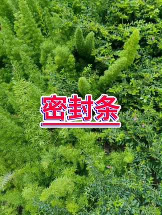#密封条 #密封条推荐 #汽车用品