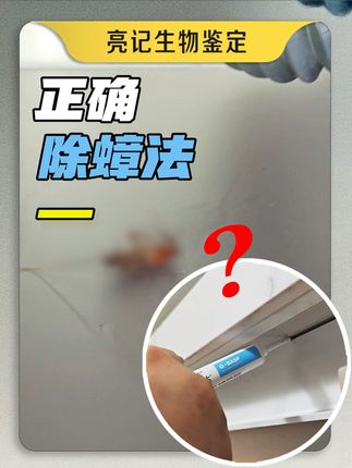 无穷小亮的科普日常