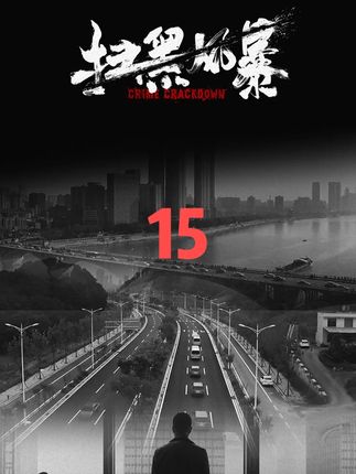 15 幕后大BOSS现身 #扫黑风暴