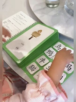 别再让孩子死记硬背孩子啦,给他准备这套识字安静书,图文结合的形式小朋友更 容易理解#儿童识字书 #识字启蒙书 #识字安静书 #安静书